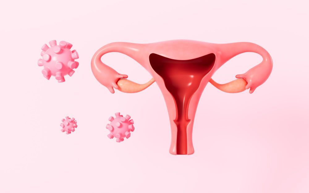 ivf success in summer