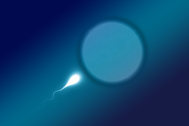 blog1