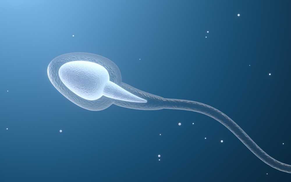 blog1