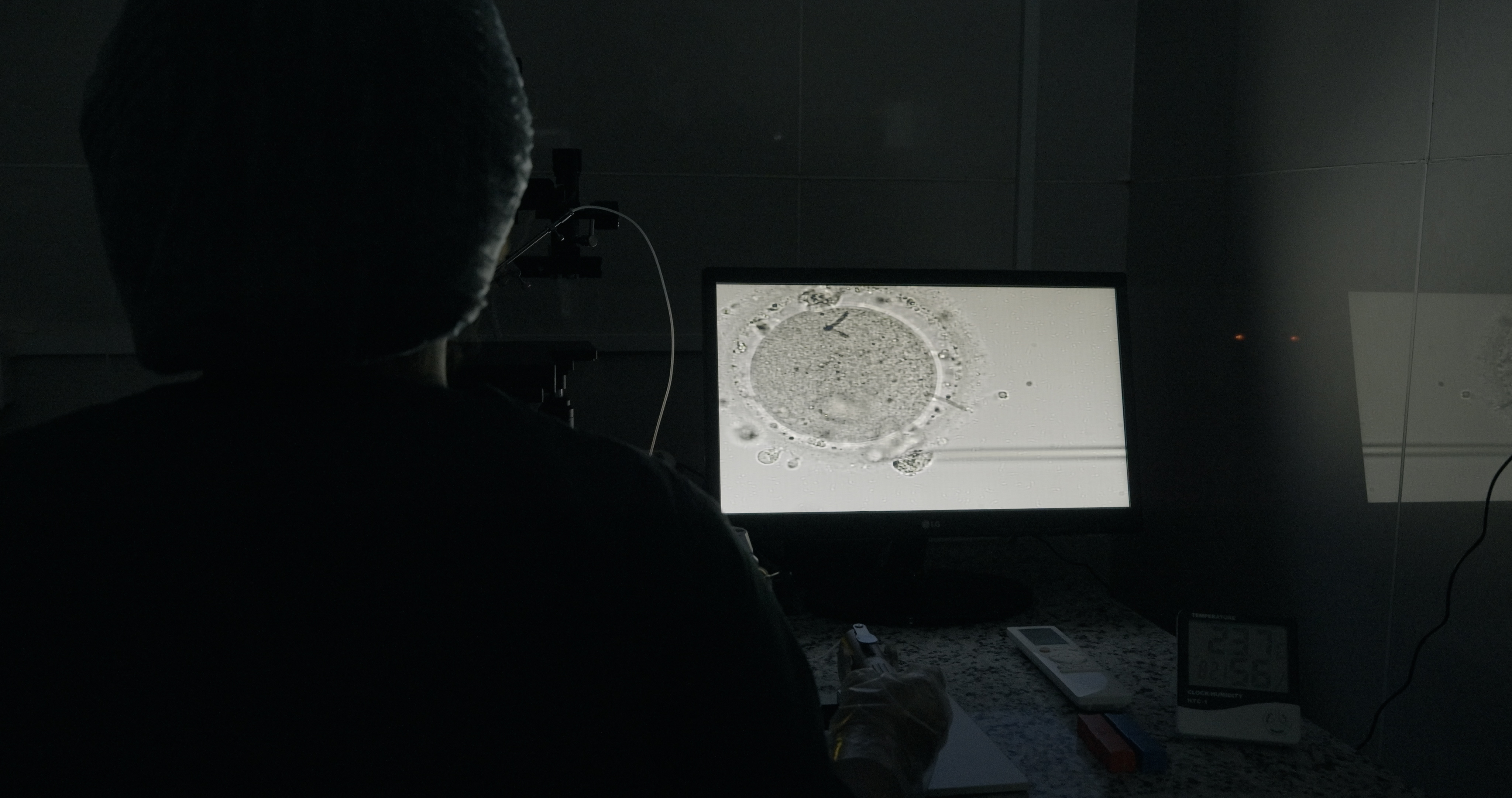 ICSI (Sperm Injection)
