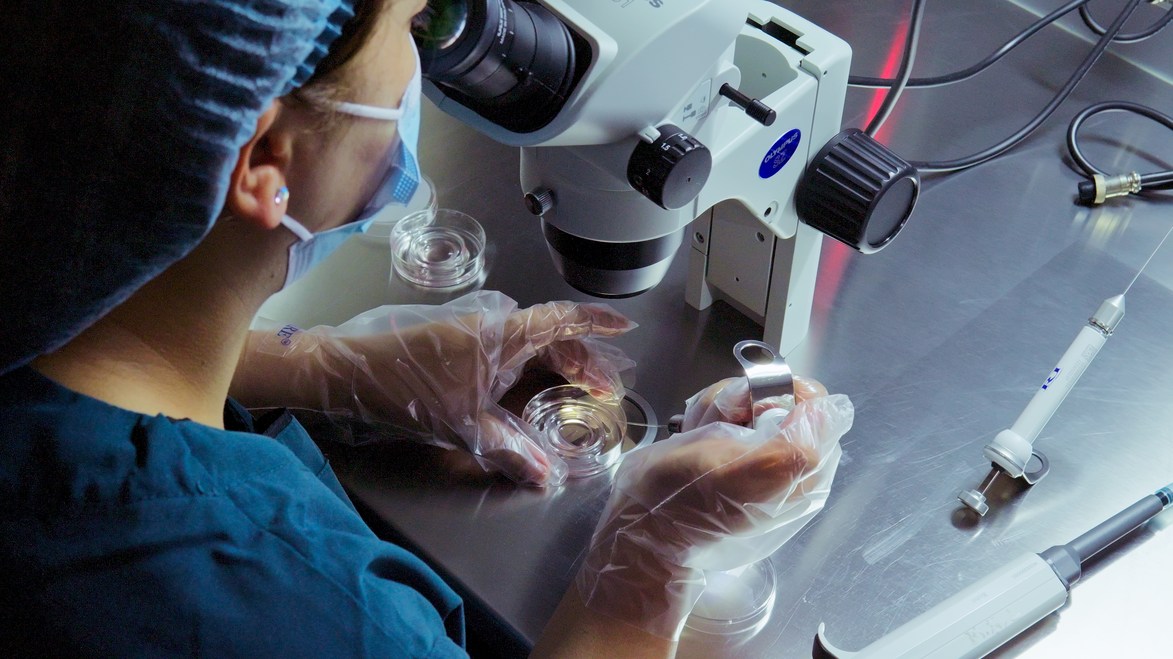 Embryo Assessment
