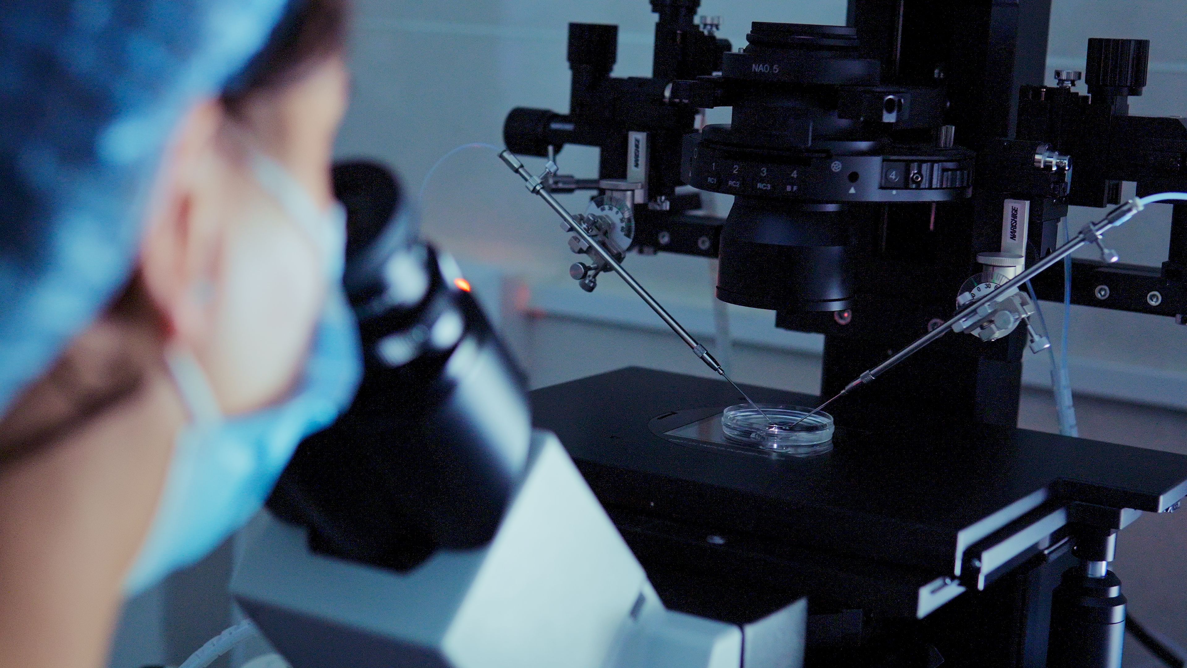 Embryo Micromanipulation