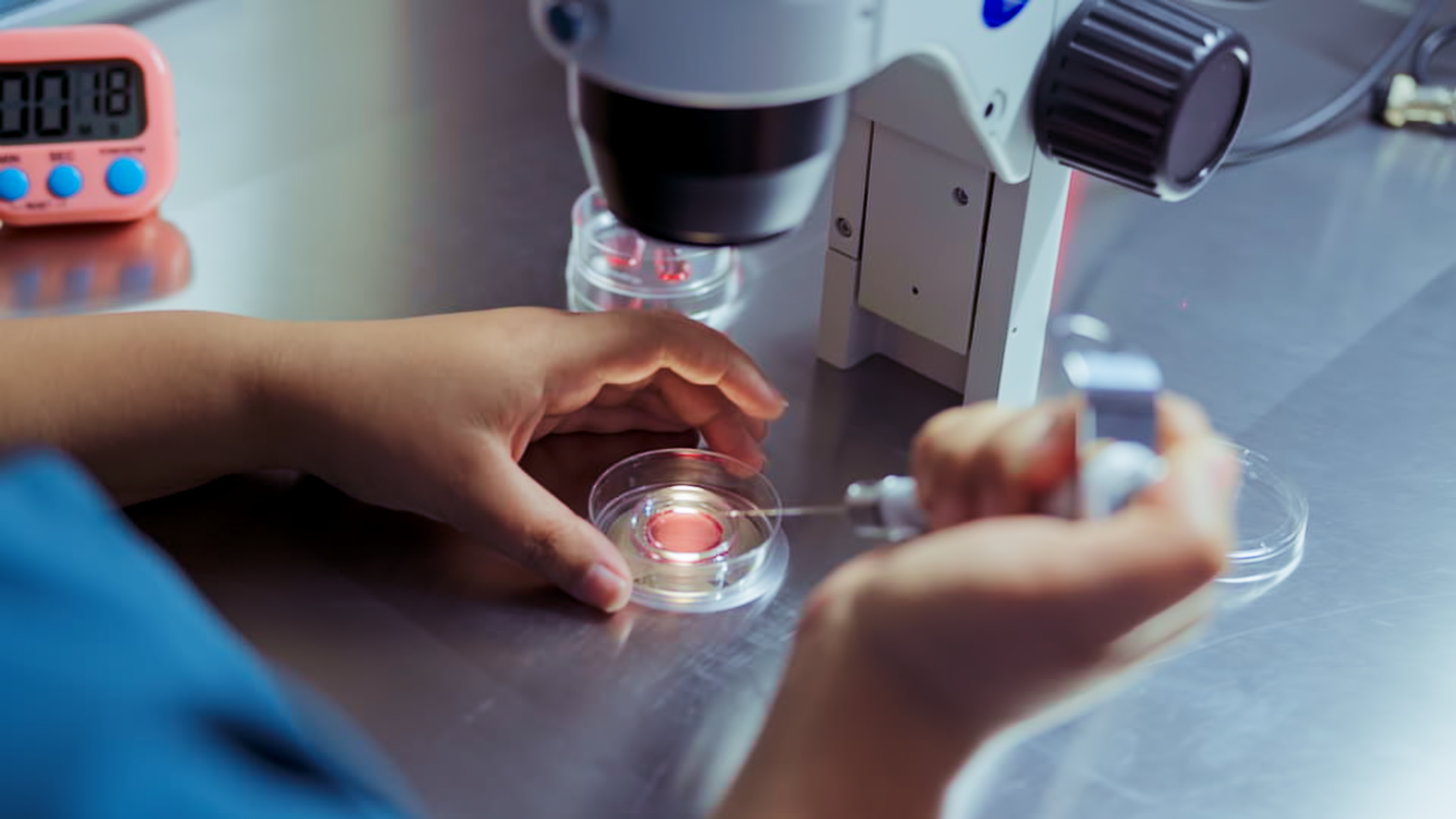 Embryo Micromanipulation