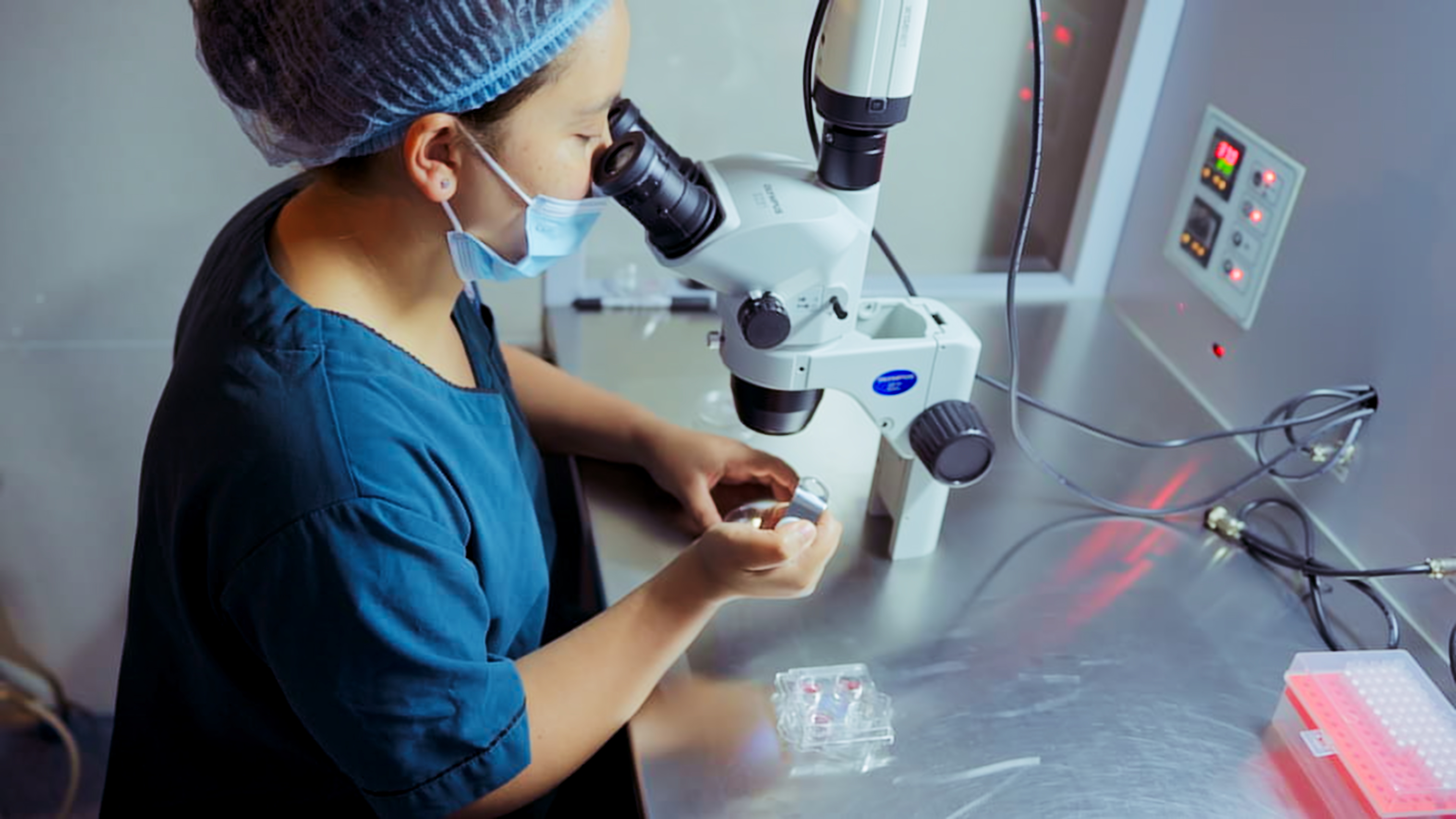 Embryology Laboratory